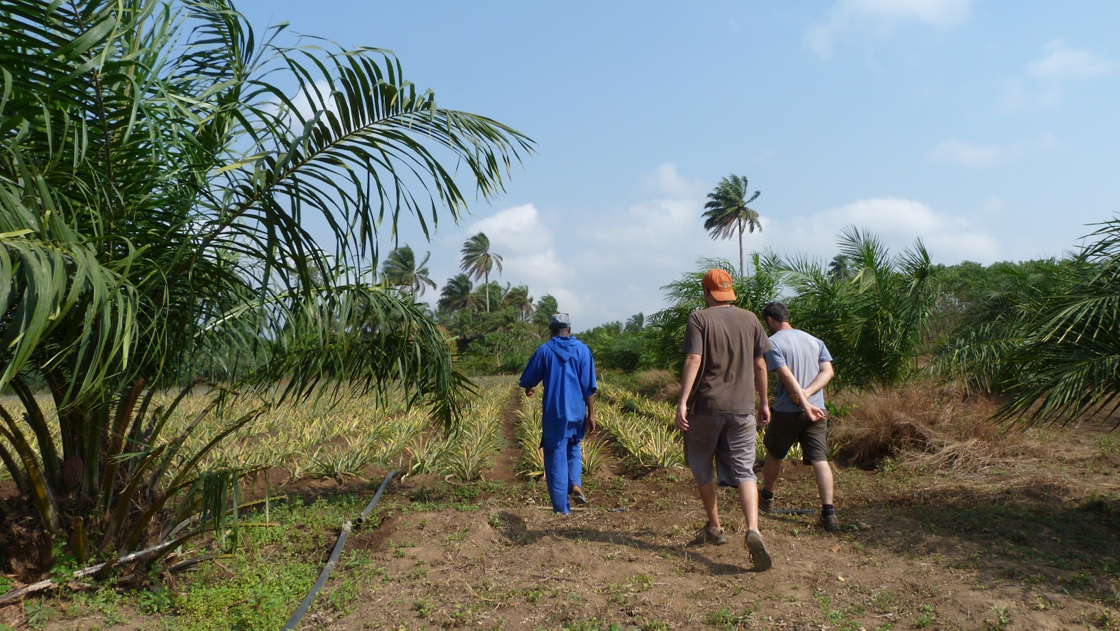 Visite d’un coopérant en Guinée Conakry  2012